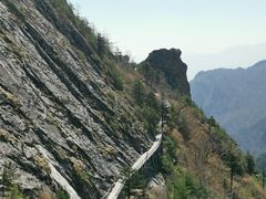 -朱雀国家森林公园