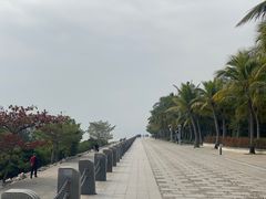 -深圳湾公园(南山区)