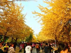-辽宁大学(崇山校区)