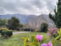 -崇圣寺三塔文化旅游区