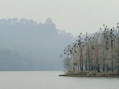 -东湖落雁景区