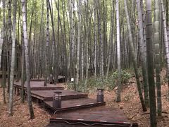 -苏州环秀晓筑养生度假村