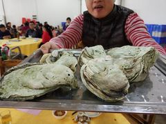 -蚝专家(北滘店)