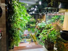 -森味薪火烧•烧鸟居酒屋•日本料理(望京店)