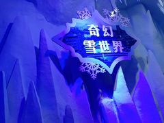 -奔跑吧乐园