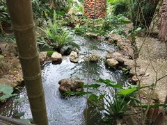 -海南槟榔谷黎苗文化旅游区