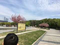 -金陵图书馆