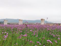 -光明小镇欢乐田园