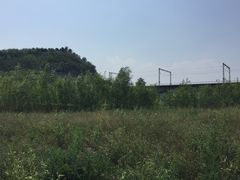 -永定河休闲森林公园