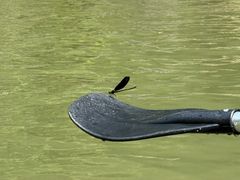 -江南大峡谷军事漂流