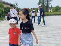 -盐城丹顶鹤湿地生态旅游区