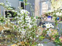 -100家灵感仓库·DIY团建(什刹海店)