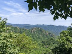 -大岭沟猕猴桃谷风景区