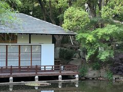 -新洲生态园