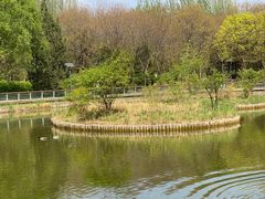 -将府公园