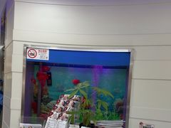 -雅悦齿科(顾村公园店)