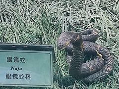 -郑州自然博物馆(惠济区)