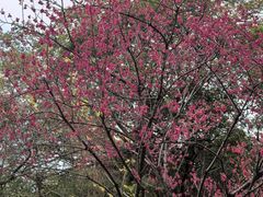 -乌山风景区