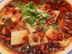 重庆毛血旺-同庆楼(滨湖万达广场店)