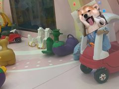 -万达宝贝王成长乐园(重庆永川店)