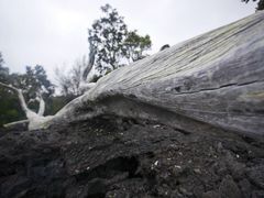 -夏威夷火山国家公园