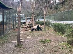 -黔灵山公园