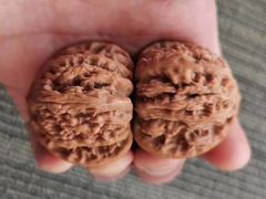 -万达广场(南京江宁店)