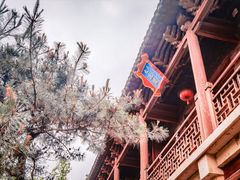 -爱新觉罗皇家博物院