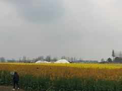 -中国天府农业博览园