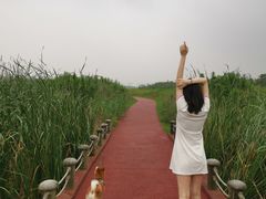 -春花秋色城市公园