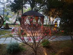 -花锦堂·隐庐