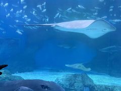 -海合安成都极地海洋公园
