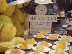 -郑州美盛喜来登大酒店