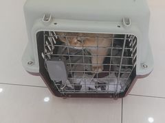 -天宠宠物医院24小时·急重症诊疗中心·全科·腔镜特色(和平分院)