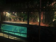 -清迈夜间动物园