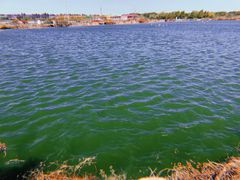 -军山湖云水间生态农业旅游景区