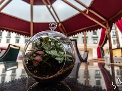 -中家鑫园温泉酒店鑫悦汤泉