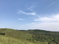 -恋山坝上草原