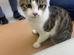 -达爱动物医院·犬猫分区·CT·复杂眼科(远洋山水分院)