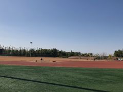 -瀛海足球主题公园