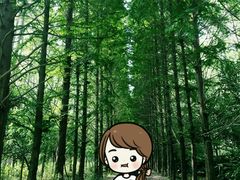 -合肥滨湖国家森林公园