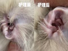 -comecome来吧宠物(奥克斯中心店)