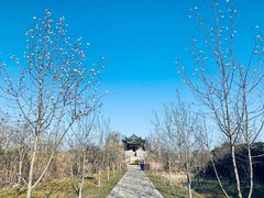 -广富林郊野公园