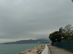 -晶荷轩(香港迪士尼乐园酒店)