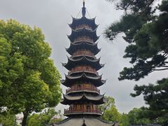 -龙华素斋(龙华路店)