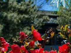 -陶然亭公园