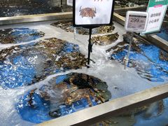 帝王蟹-七鲜超市(万向城店)