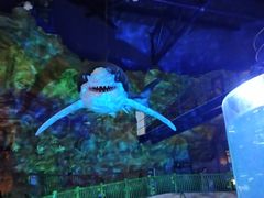 -青岛嘉年华主题乐园