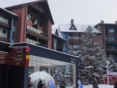 -中旅松花湖滑雪场
