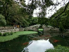 -普陀山风景名胜区-法雨禅寺